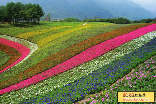 红池坝国家森林公园景点照片