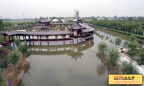 中国扬子鳄村景点照片