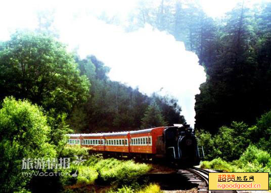 森林小火车景点照片