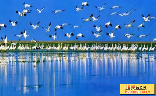 康山候鸟自然保护区景点照片